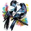 Two Painted Magpies