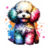Cadeau caniche