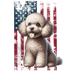 Caniche US Pudel