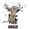 Platzhirsch