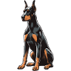 Doberman