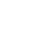 Niseko Snowboarder