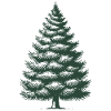 Traditioneller Weihnachtsbaum Illustration
