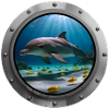 Dolphin Animal - 1