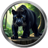 Panther Animal