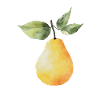 Pear T-Shirt