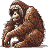 Orangutan
