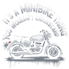 Small bikes, big fun