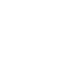 The fascination of minibikes