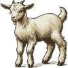 Chevreau