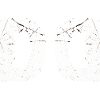 Double D - Doppel D