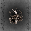 La danseuse de la nuit.