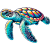 Tortue