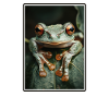 groda grodor