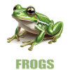Grenouilles Grenouilles