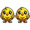 chicks
