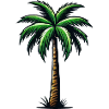 palm tree
