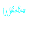 Whale Sea Creatures Lake