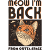 Meow I'm Back