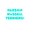 Parson Russell Terrier