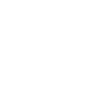 Riesenschnauzer Schnauzer géant