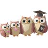 PROFESSOR OWL