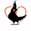 Cockatiel heart
