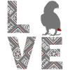 African grey parrot