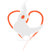 Cockatiel heart