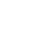 Rose Flower