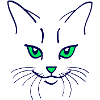 42 Couleur chat
