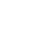 Wing Icon