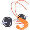 Bodybuilding sallle shrimp