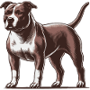 Pitbull