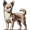 Chihuahueño