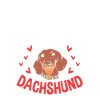 Dachshund