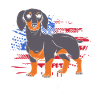 Dachshund
