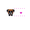 J'adore mon boxeur
