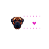 J'adore mon Bullmastiff