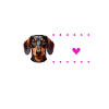 I love my dachshund