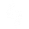 Two white fish
