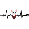 Chihuahua Herzschlag