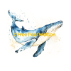 freepaul