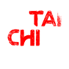 Tai chi fighter