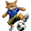 Cat Football