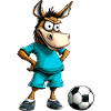 Esel Fussball