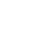 Fisker Holly