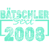 Single 2008
