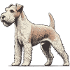 Terrier