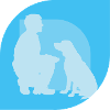 Dog Training Agility Dog Trainer